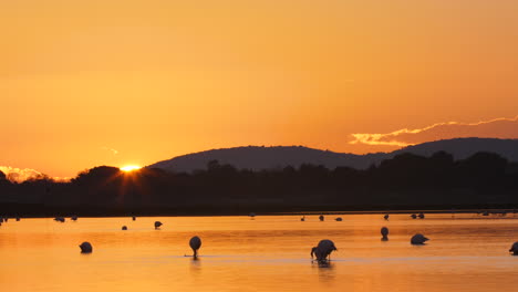 Sonnenuntergang-Hinter-Einem-Berg-Mit-Flamingos-Im-Vordergrund